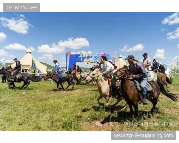 特色乡村马术表演,演绎民族骏马风采,马术文化小镇项目 特色乡村马术表演,演绎民族骏马风采,马术文化小镇项目